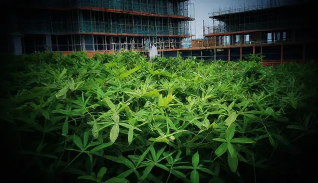用户操作中常见技术问题与处理依据